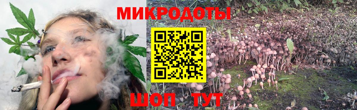 Псилоцибиновые грибы Cubensis  Вход с VPN  Городец 