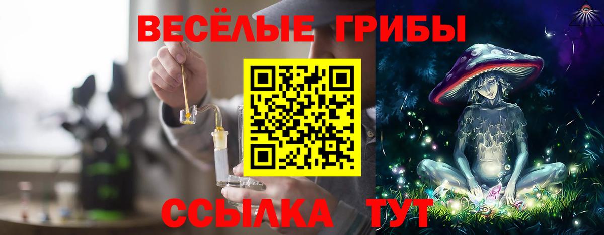 Псилоцибиновые грибы Psilocybine cubensis Городец